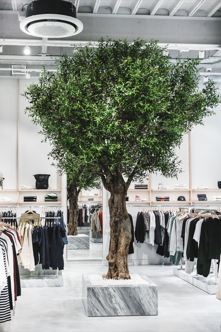 Large faux olive tree in a retail store
