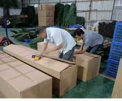 Packaging artificial plants and project components in cartons